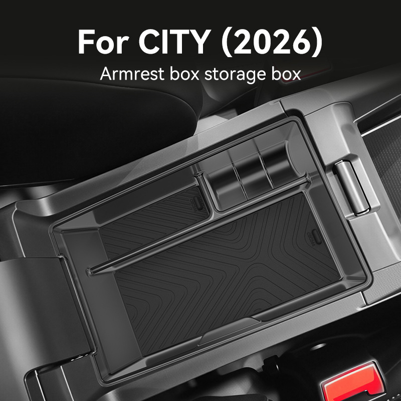 Tech Car Accessories - Organizador de Caixa de Armazenamento para